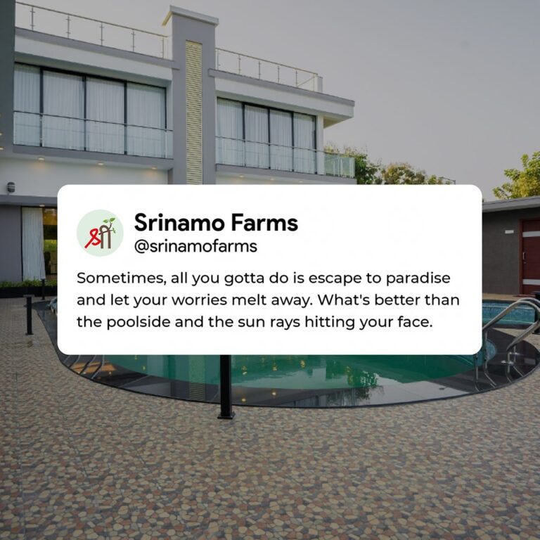 srinamo_farms-12-02-2024-0002
